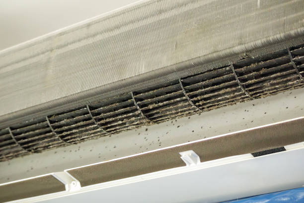 Best Air Duct Cleaning Near Me in Diberville, MS