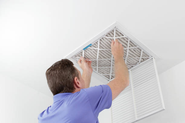 Best Air Duct Sanitizing Services  in Diberville, MS